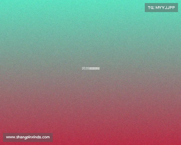 2020年国内赛车比赛