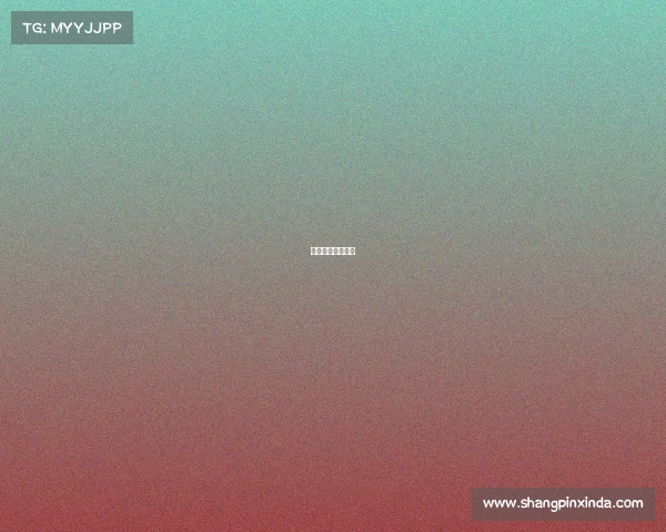 世兵今天有直播吗