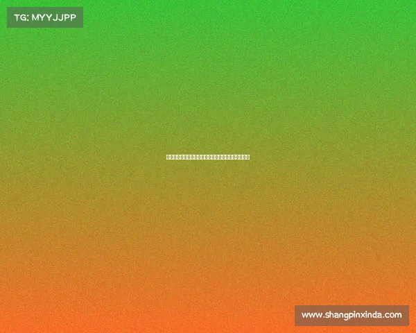 中国女篮最新赛事奋勇拼搏夺冠彰显巾帼英雄荣耀篇章