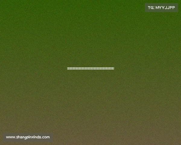 沈阳盛大国际赛事嘉年华全球健儿齐聚沈城绽放活力激情共创辉煌篇章