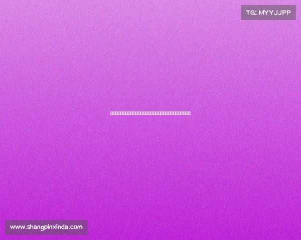 文森特赛事盛大举办二零二三年汇聚世界顶尖高手同台竞技展现无限可能