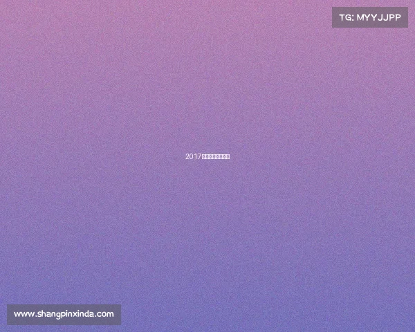 2017杜塞尔多夫世乒赛